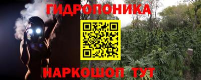 Альфа ПВП Канаш