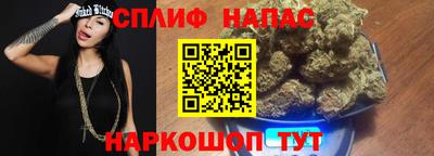 ешки Камышлов